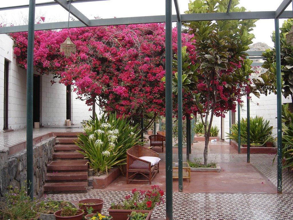 Hosteria Chanaral Chanaral (Atacama) Exterior photo